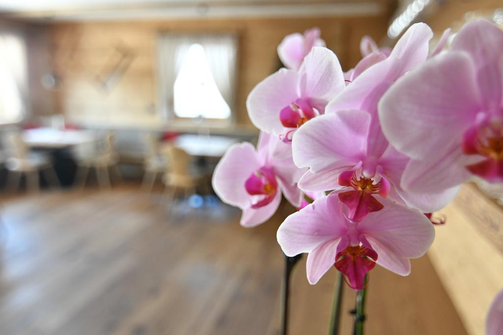 Hotel Kristall Maranza Ngoại thất bức ảnh